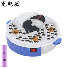 电动捕蝇器家用室内电池充电款自动灭蝇器饭店餐厅幼儿园商用诱捕器捉苍蝇神器户外庭院驱虫工具捕苍蝇笼子 充电款捕蝇器 +1包鱼骨粉诱饵