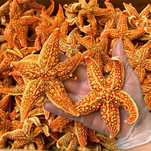 クーポンで半額☆2280円！ 大幅お値下げ 乾山の香炉！銀ホヤ！品が良い