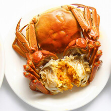 【活蟹】巨蟹汇螃蟹鲜活大闸蟹现货水产礼盒 六月黄 不分公母 1.9-2.2两 10只