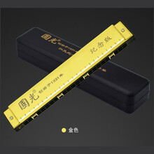 国光半音阶口琴回声囗琴乐器大全高级成人专业上海24孔复音儿童初学者学生用男女调单音乐器大全 土豪金(新老版本随机发货新版没有字