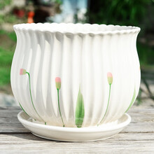 蝴蝶兰花盆陶瓷带托盘大号特大特价清仓创意个性简约家用吊兰绿萝小多肉花盆大口径发财树绿植花盆 S1草花单个 大