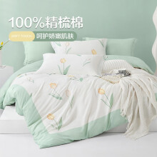 博洋（BEYOND）博洋家纺100%纯棉四件套被套床单枕套ins风全棉套件单双人被罩 漫漫郁金（绿） 1.5米/5英尺床