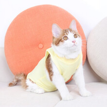 猫咪绝育手术服狗狗母猫手术服生理服猫藓皮肤病服猫咪绝育防舔服 黄色 S号建议3斤以内