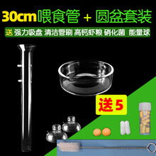 水晶虾喂食管投食器喂食圈玻璃喇叭口观赏鱼龟螺喂虾器鱼缸喂食盆 白 30cm喂食管+圆盆
