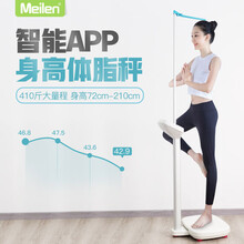 Meilen美乐身高体重秤电子秤体脂秤精准电子儿童身高体重计测量仪一体机家用药店学校体检美容减肥 身高体脂秤