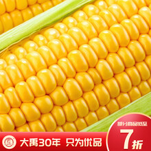 大禹 蔬菜种子大全批发家庭种四季播种青菜春季高产优质家庭阳台菜籽  金甜水果玉米种子【可生吃】100g/袋