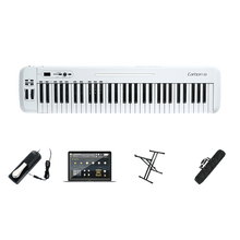 SAMSON山逊 MIDI键盘控制器Graphite 49/M25半配重Carbon 61合成器 Carbon 61+踏板+键盘架+包+音源软件