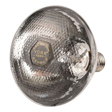 约克（YORK）养殖保温灯麻面加厚保温灯仔猪保温灯取暖灯仔猪取暖灯泡 100w