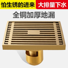 麦酷（MAIKU）全铜防臭地漏 卫生间地漏 淋浴房浴室地漏芯洗衣机地漏三通地漏盖 D2大排水/淋浴地漏