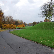 （正常发货）滨淇草种子草籽草坪种子四季青果岭草球场别墅庭院护坡耐寒旱耐践踏不修剪园林绿化工程 美国四季青K88