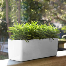 爱可斯（AIXY）长方形种菜盆塑料多肉兰花绿萝水培懒人自动吸水花盆长条型草莓盆 白色花盆【含水位计】 中号