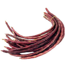 梦里丹特长绿先锋豇豆种子绿条长豆角种子四季豆春秋播高产四季蔬菜种籽 花豹豇豆籽10克/2包