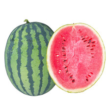 甜王西瓜种子早熟高甜西瓜种籽大瓜形皮薄甜脆爽口大红瓤 抗裂耐运输露天基地温室大棚种植蔬菜瓜果种子 盖世甜王西瓜种子50粒