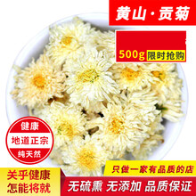黄山贡菊特级白菊花茶500g新花明目 安徽散装下杭白菊花茶