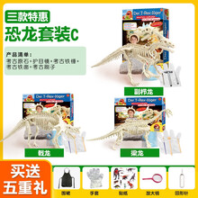 儿童玩具恐龙考古挖掘玩具 骨架拼装模型恐龙化石模型 3盒考古恐龙套装C