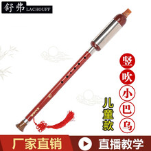 舒弗（LACHOUFFE）巴乌 仿红木胶木竖吹儿童小巴乌乐器c调降B调小学生初学自学入门 降B调小巴乌+盒子++【资料】