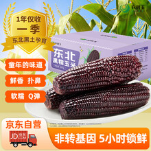 农科玉紫糯玉米>3.68斤 230g*8根 黑糯营养粗粮杂粮东北苞米棒代餐礼盒