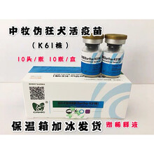 中牧股份 猪伪狂犬病活疫苗 伪狂犬（K61株）10头份x10支 整盒价 兽用 1盒价