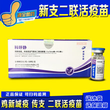 鸡疫苗 点眼滴鼻 鸽子疫苗 新支二联 新城疫传染性支气管二联苗  西蜀农大 新支二联H52一瓶价