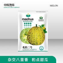 中科茂华瓜果种子金花宝花豹甜瓜种子豹点香瓜杂交八里香斑点一品花宝绿肉超甜春秋种植易坐果产量高甜脆爽口 花豹二号50粒/袋【试种装】