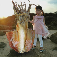 海幽鲜 墨鱼干【特大级船晒穿竹】精选淡晒目鱼干乌贼墨鱼仔海鲜干货煲汤 特大号1斤穿竹墨鱼干【500g1条装】