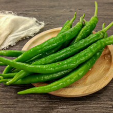 寿禾 线椒种子杭椒辣椒苗超辣二荆条早熟辡椒家庭蔬莱种植春秋季播种疏菜种籽阳台菜子盆栽庭院种孑秧苗菜籽 辣神F1线椒种子 100粒