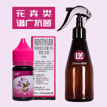 仙葩 白粉病专治多肉花卉月季黑斑病炭疽病枯萎病嘧啶核苷类抗菌素光谱杀菌剂多菌灵 2瓶 30g/瓶
