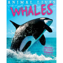 Animal Lives: Whales
