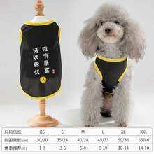春款小狗狗衣服夏季薄款泰迪背心博美幼犬猫咪小型犬夏天宠物比熊 解忧暴富 XS