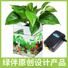 绿伴 小鱼缸造景水族箱水培植物生态鱼缸免换水懒人小型亚克力塑料缸办公桌面斗鱼缸迷你缸 白色标配+绿萝+氧气泵