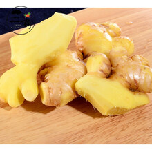 云南小黄姜5斤新鲜现挖生姜高山月子姜老姜蔬菜批发