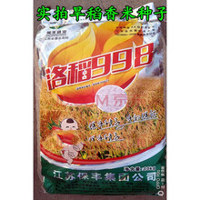 高产香米2728南粳9108水稻种子粳稻旱稻种子郑旱10号杂交籼稻 【旱稻】郑旱10一斤