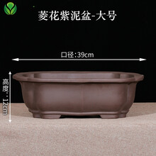 紫砂花盆海棠盆景盆简约多肉植物花卉盆栽陶瓷花盆长方形盆景 WSYN大号一个 大