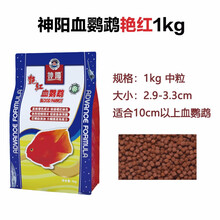 神阳血鹦鹉鱼饲料纯红艳红鱼食炫红鱼粮增红地图鱼饲料发财鱼饲料 神阳血鹦鹉 艳红1KG中粒袋装#