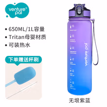 VENTURE PAL VP大容量吸管水杯夏季运动健身大水壶高颜值tritan杯子男女 【无垠紫蓝】吸管款+可装热水 650ML