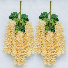 人気ダウンロード 大豆花色7115 大豆花色 Pictngamukjpxjol