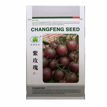 民汇园 蔬菜种子 蔬果种子 圣女果种子 黑 绿 黄 红色 西红柿珍珠樱桃小番茄种子 杂交紫圣女番茄种子200粒/袋