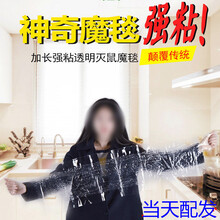 户净 【第二代升级透明款】粘鼠毯粘鼠板老鼠贴胶药老鼠夹捕鼠器灭鼠老鼠神器透明魔毯 120cm*28cm/张 当天配发