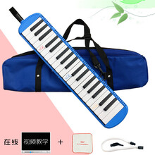 奇美 牌32键37键小学生幼儿园儿童成人32健37健口风琴教学口吹琴囗风琴吹管 37键蓝色(无吹奏说明)