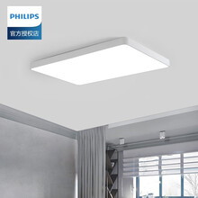 飞利浦LED吸顶灯 客厅灯卧室餐厅小厅灯阳台灯长方形正方形轻奢现代简约欧式灯具灯饰照明 品亮 品亮43W(6500K白光)长方形