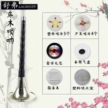 LACHOUFFE 唢呐乐器全套初学者D调成人大嗦呐小锁喇铄呐民间喇叭 乌木D调黄碗+ 7大礼品