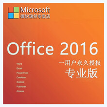 微软正版office2016/专业OFFICE2019小型企业版/WIN10/WIN7专业版/旗舰版  实物:OFFICE2016专业+WIN10专业版 普通发票