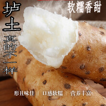 正宗河南铁棍山药5斤怀山药铁棍细山药段