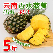 悦麦云南香水小菠萝当季新鲜热带水果现摘现发整箱菠萝大果 4.5-5斤(3-5个果)