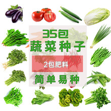 梦里丹35种易种植阳台庭院秋冬四季蔬菜种子小白菜青菜菠菜萝卜香菜秋葵韭菜辣椒种子套餐 35种随机蔬菜种子+肥2包