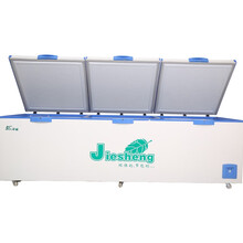 捷盛（JS）2米3米4米大型容量冰柜卧式商用超大冷柜JS4000四开门冷冻冷藏保鲜海鲜茶叶冻品肉冰箱 JS-3000 长3米 数显温控（升级款）