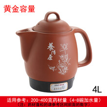 迪凯高紫砂电子中药锅煎中医壶煎药电药煲家用煎药壶全自动中药罐 4.0L红砂一键智能