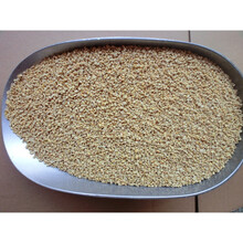 家禽鸟粮 土鸡乌骨鸡中鸡通用饲料 鸡鸟粮食小颗粒500g破碎料 兽用