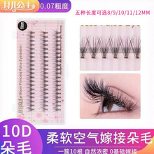 月儿公主10D丝绒朵毛热熔0.07鸡爪自己嫁接自然种植假睫毛单株簇施夫