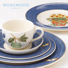 WEDGWOOD玮致活莎拉花园杯碟组陶瓷茶杯杯碟欧式咖啡杯碟茶具套装 莎拉花园绿色茶杯碟